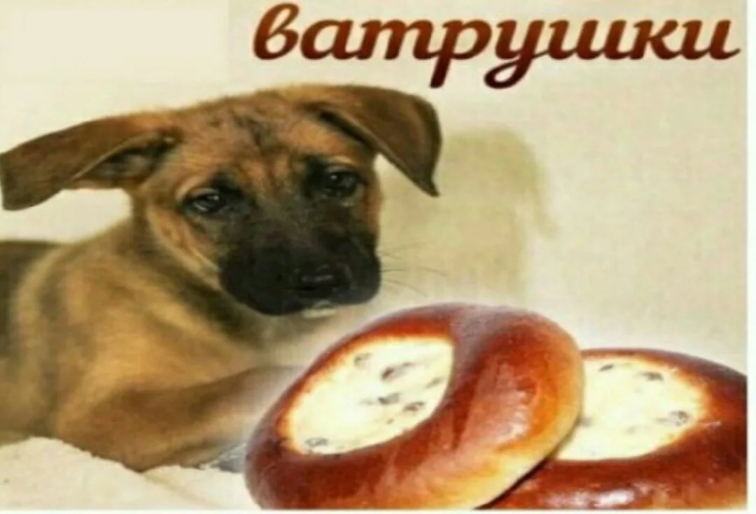 Ватрушки Мем