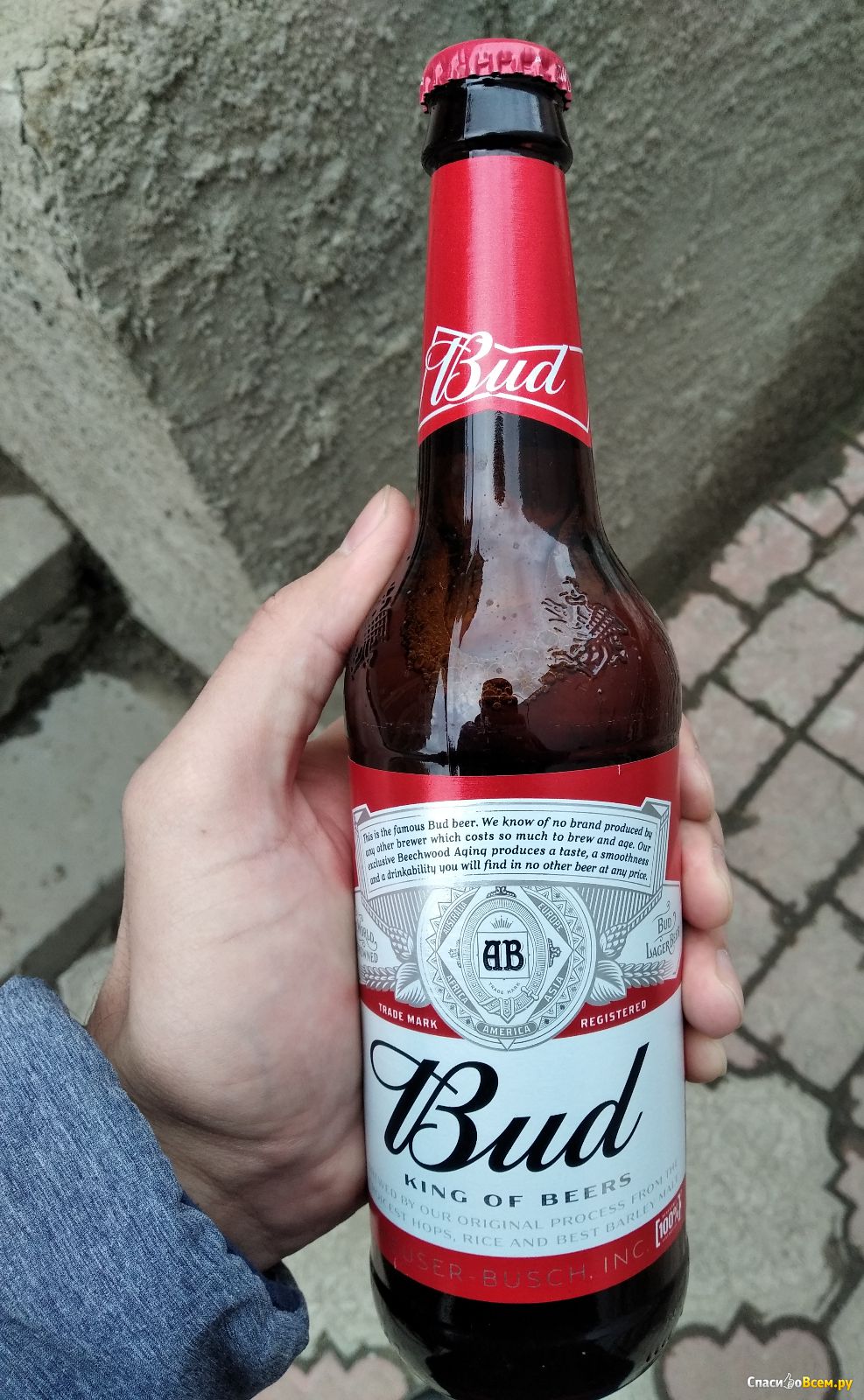 Пиво бад красное. Пиво Bud светлое. Пиво Bud крепость. Пиво Bud 0.5. Пиво Bud красное крепость.
