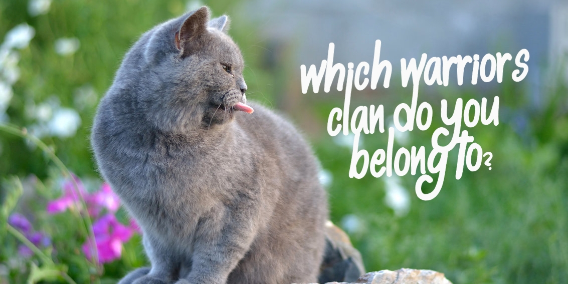 Which Warrior Cat Clan Do You Belong In?